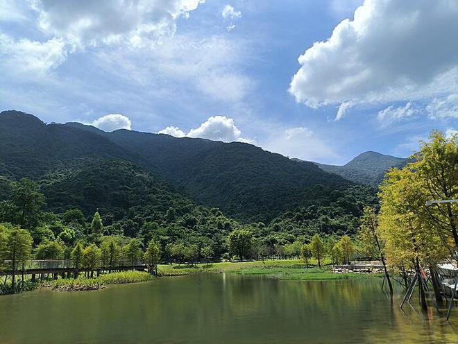 法国最短命政府与马克龙的政治前景：一个多维度探讨